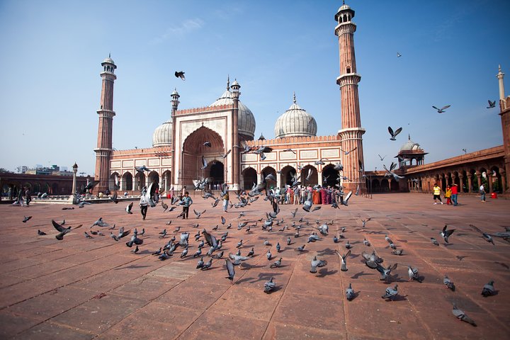 Same Day Delhi Tour